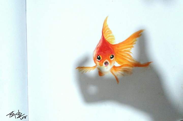 #fish_in_surprise