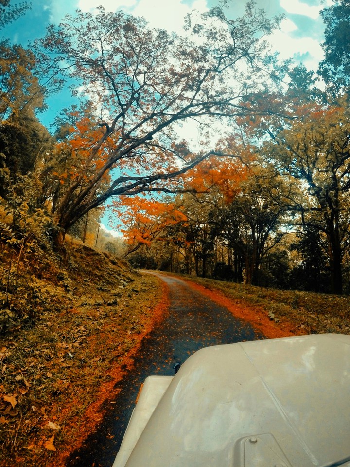 where mistive roads take us to
