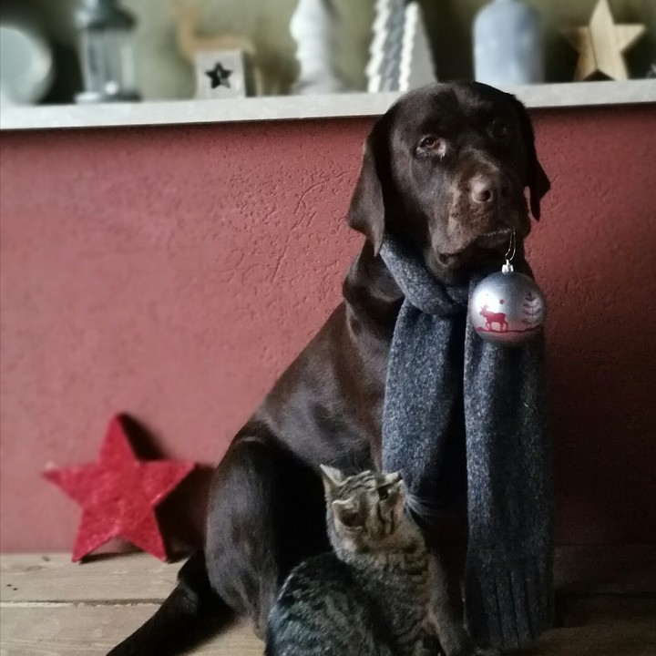 Christmas