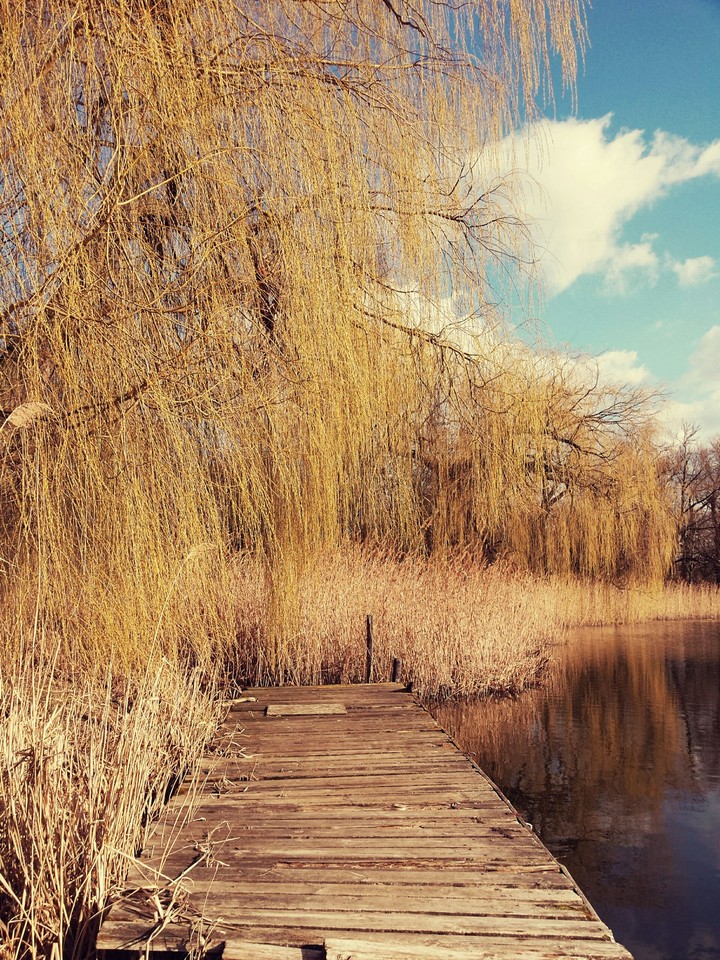 bridge at autumn