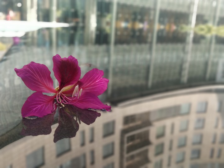 reflection