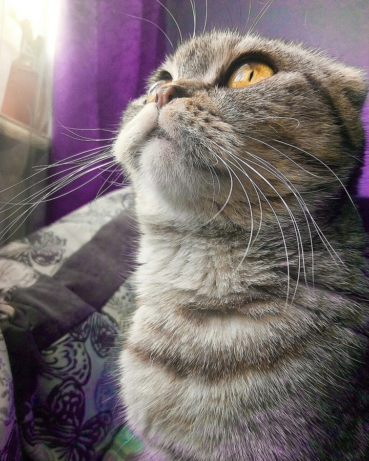 Котя♥