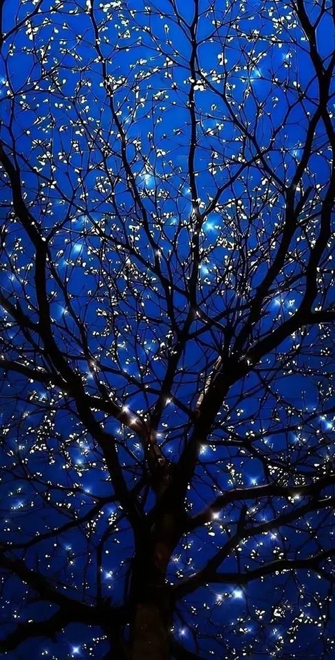 天空, blue桌布