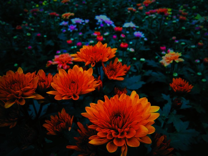 Nature...