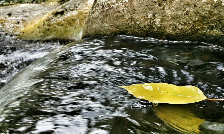 time fly , river flow