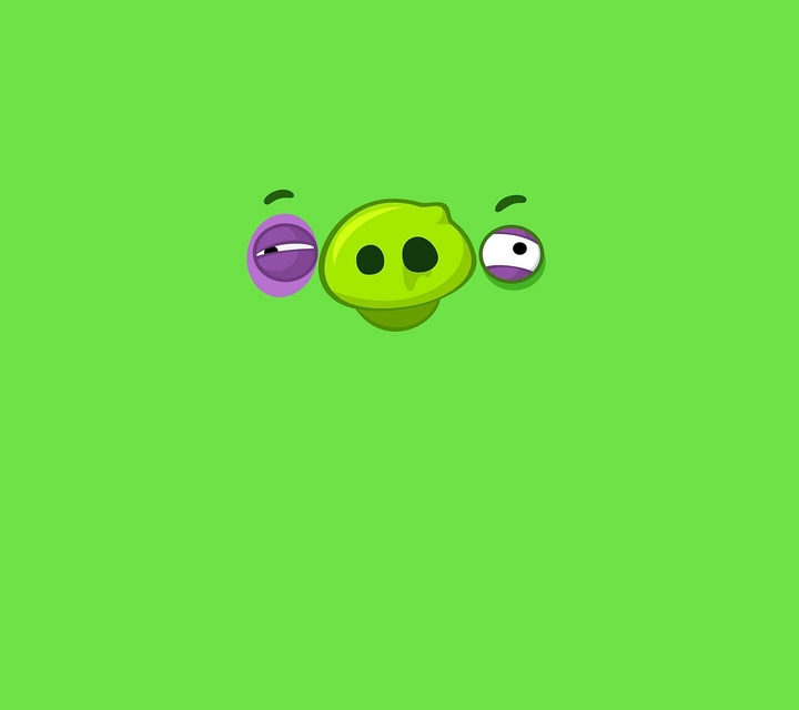 Angry Birds pig