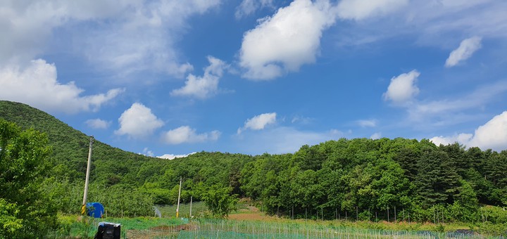 우리밭에서.