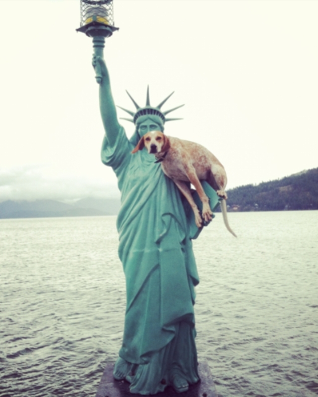 DOG FRIENDS