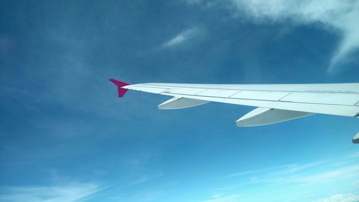 wings