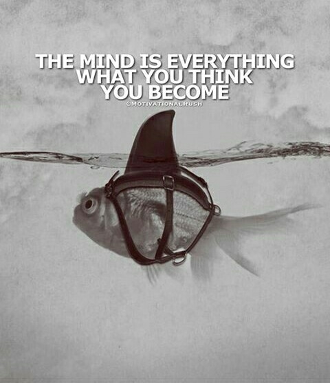 Quote