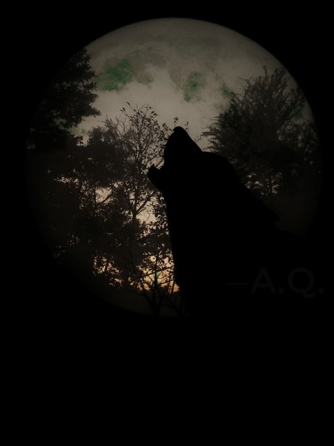 wolf