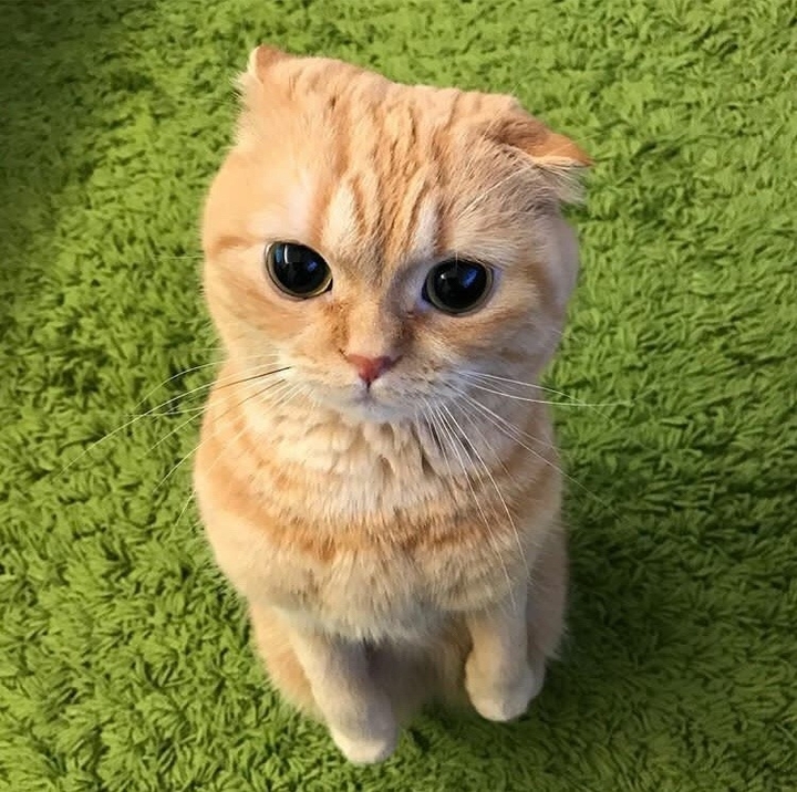 don't look at me