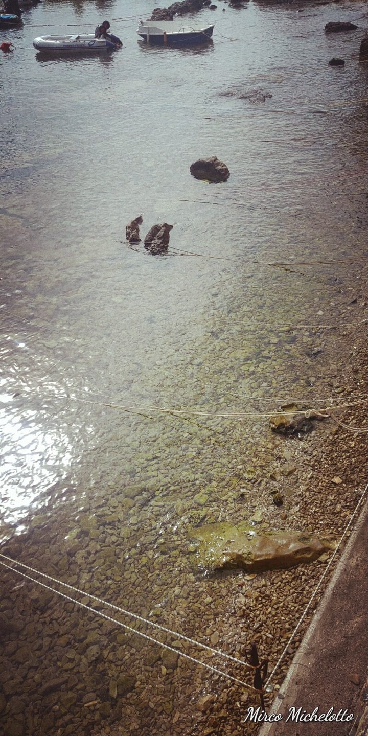 acqua
