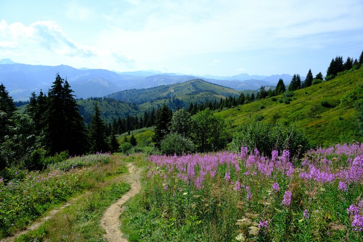 paisagem