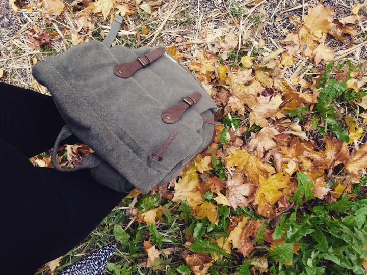 Backpacks and leaf's