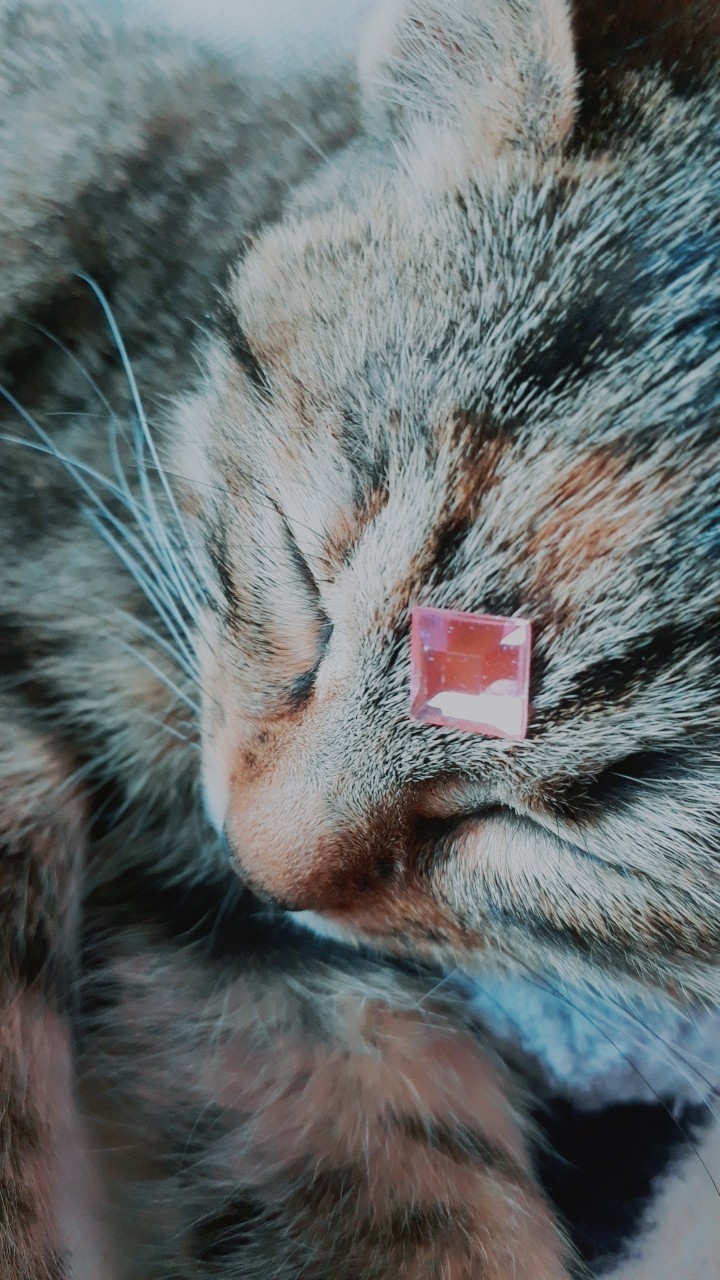 Princess