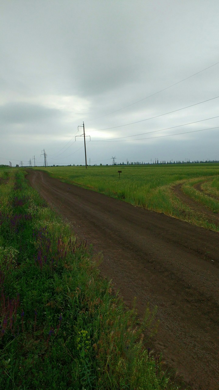 дорога