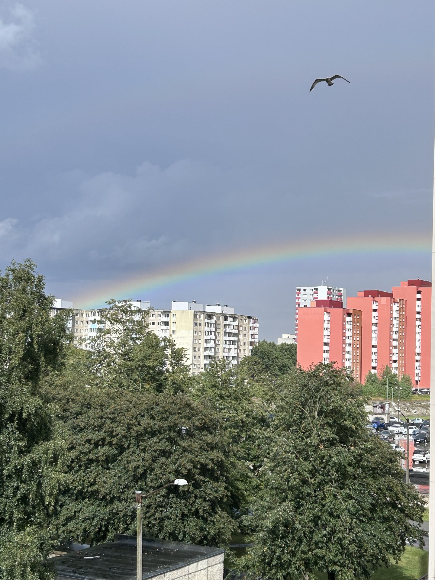 тапети Apartment, daytime
