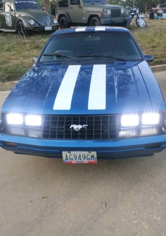 Mustang