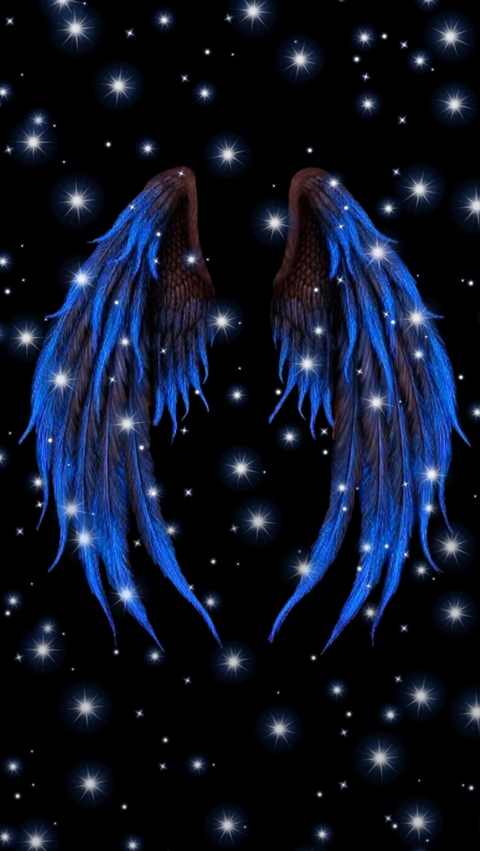 Wings