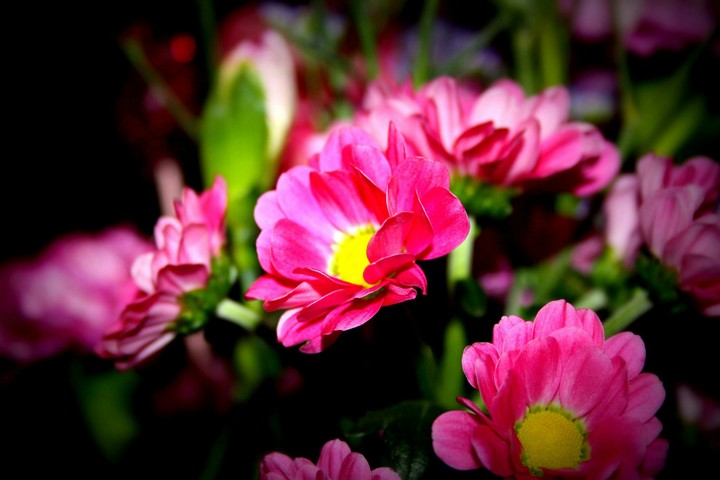 naturelove