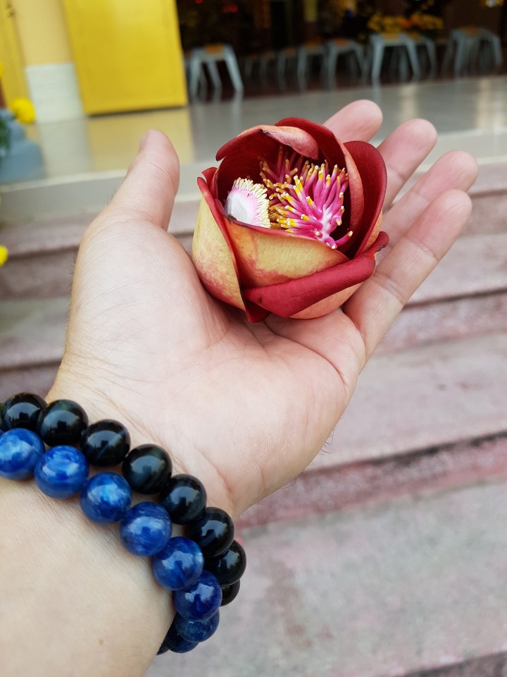 Tết