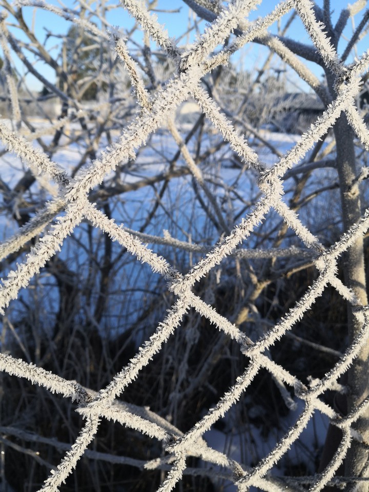 winter net
