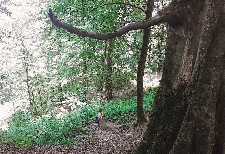 nature