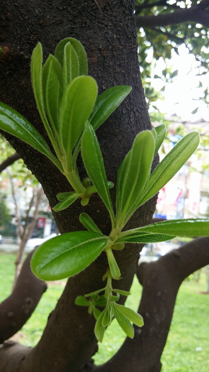 new and fresh