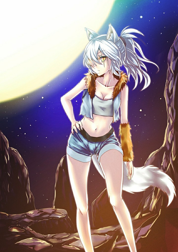 ookami
