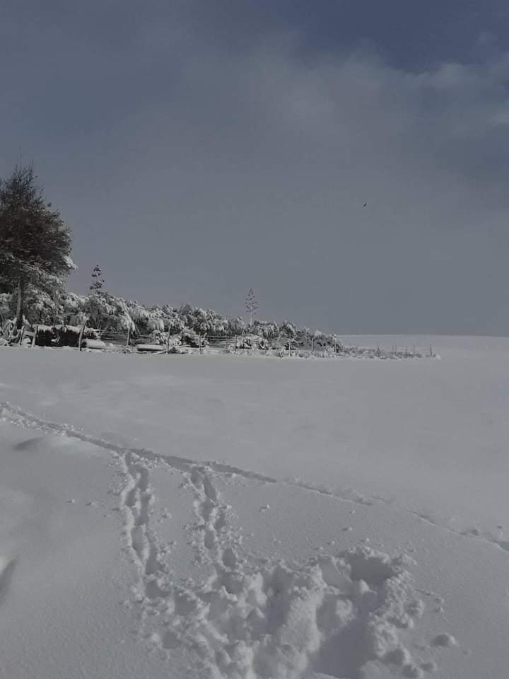 ? nieve