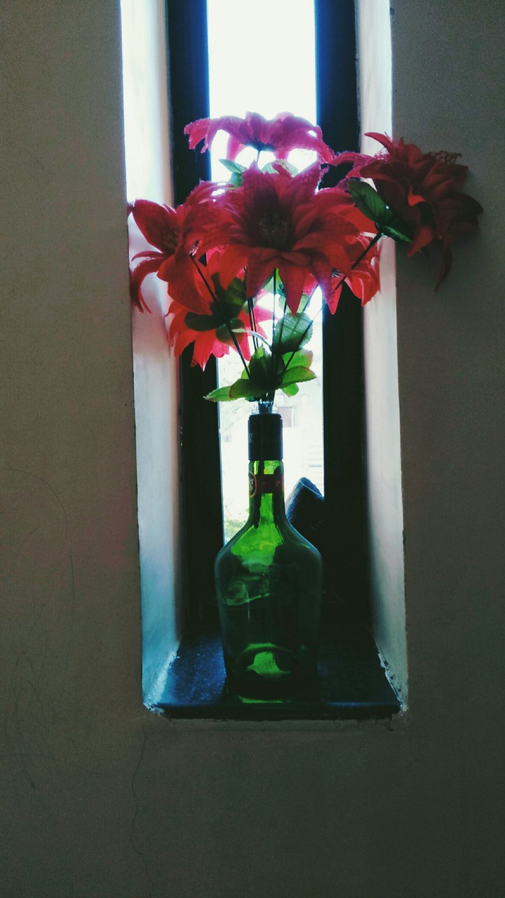 rose