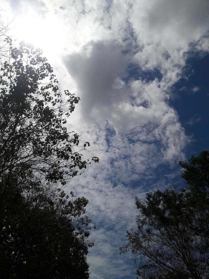 Sun and Sky