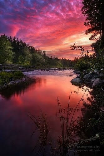 natural landscapes