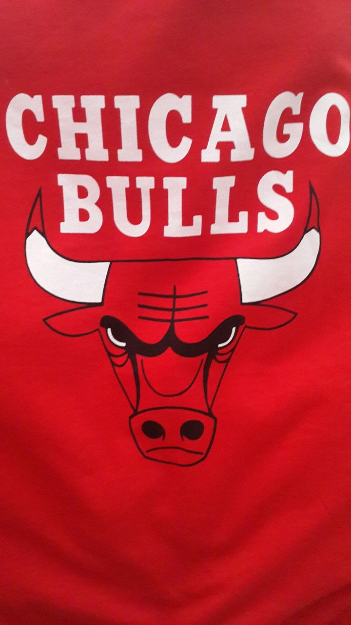 bulls
