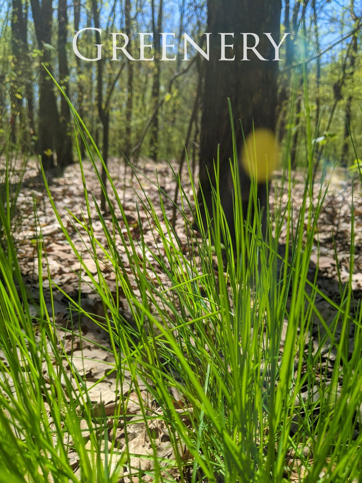greenery ?
