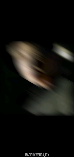 정이사님