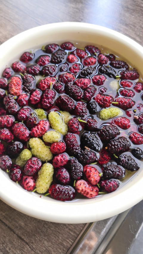 berries