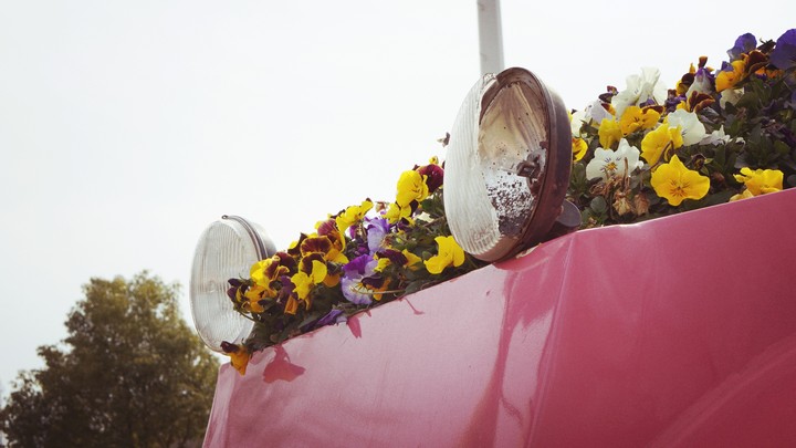 Flower car