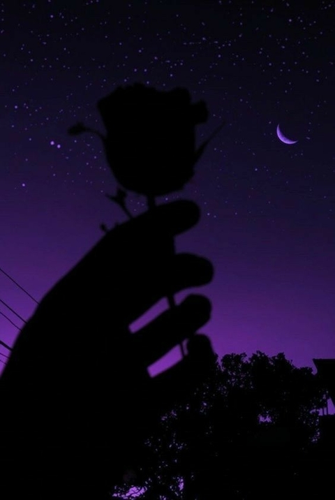 night