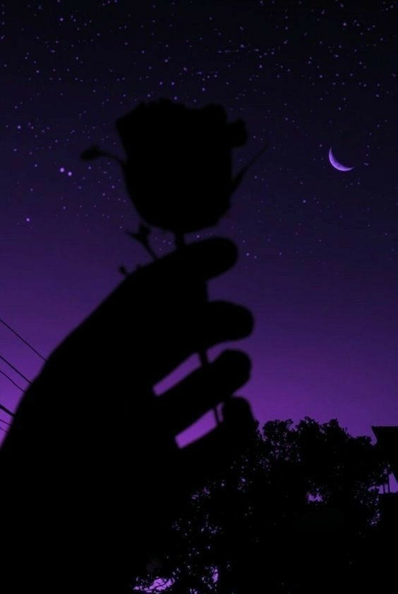 night