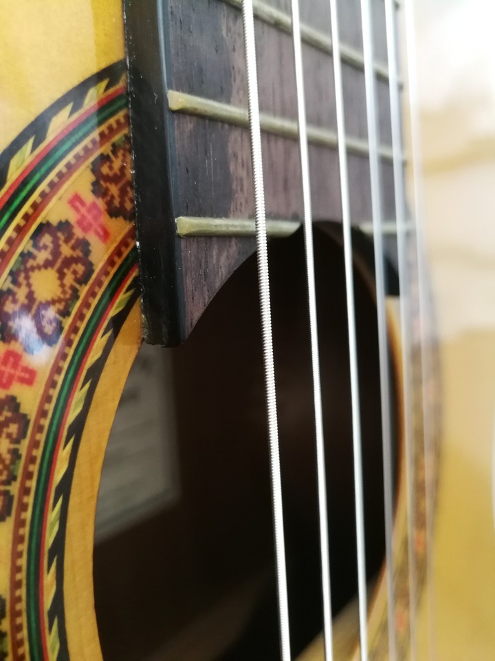 Guitar