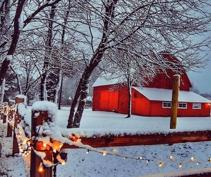 christmas barn