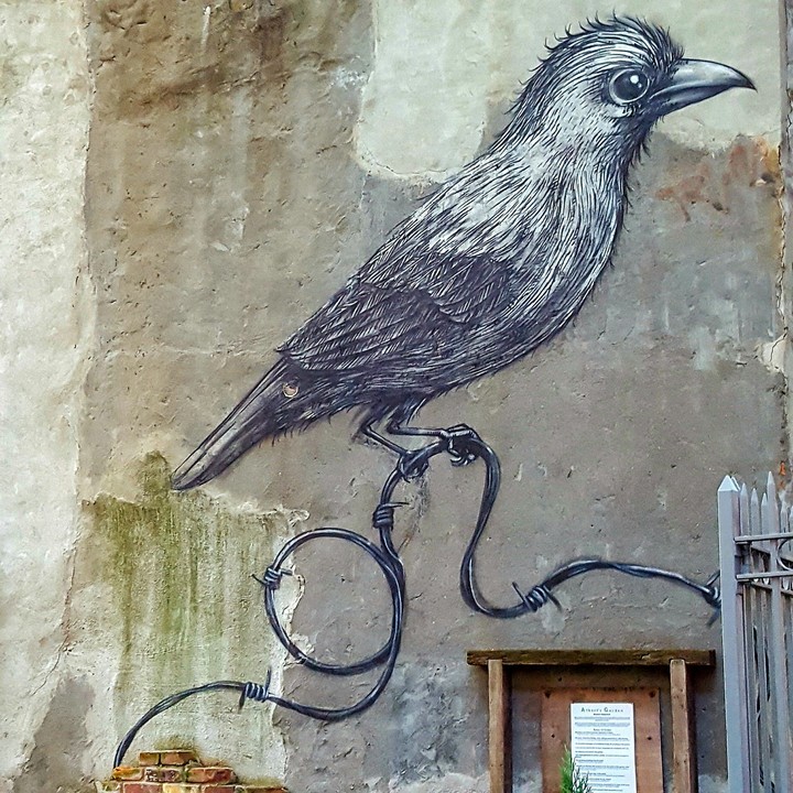 ROA bird
