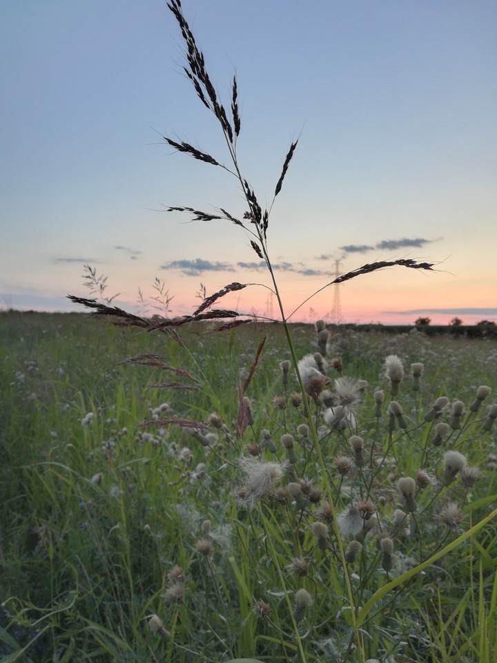 Beatiful nature