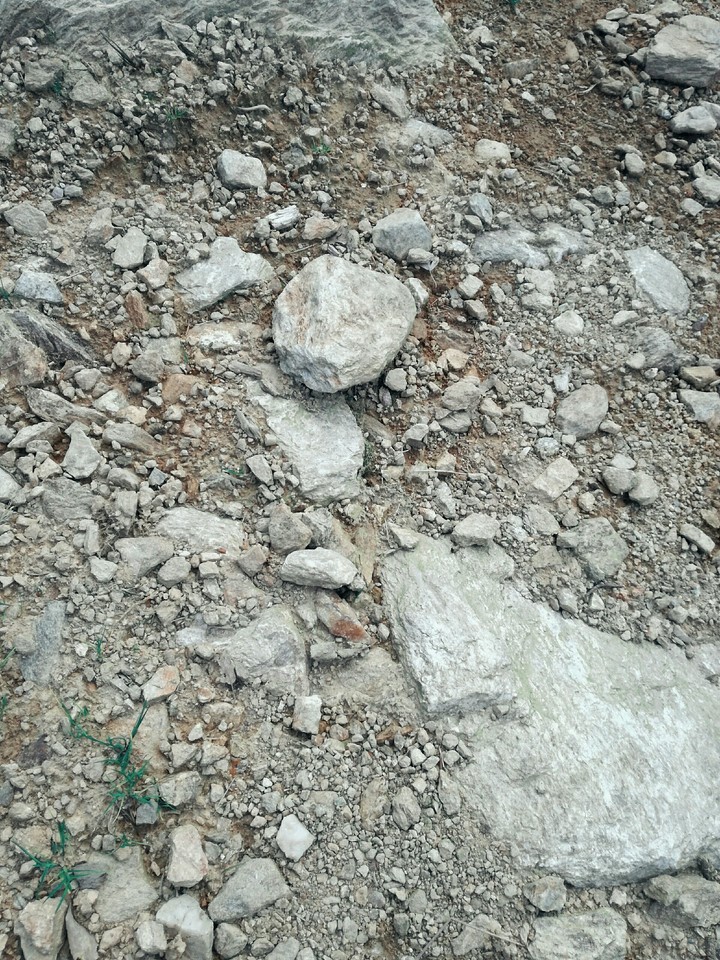 just a nature