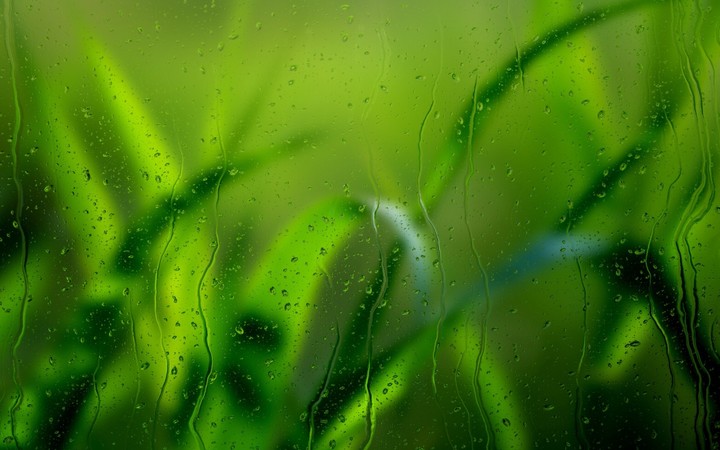 Water Drops
