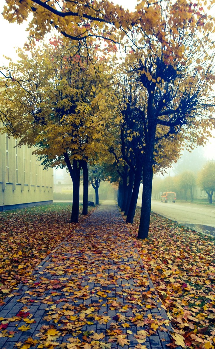 Autumn
