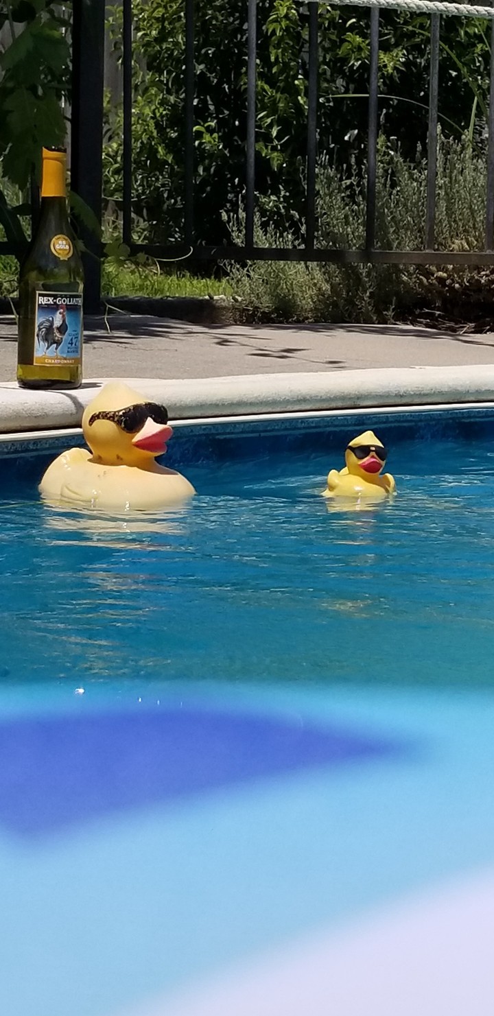 happy ducks 3