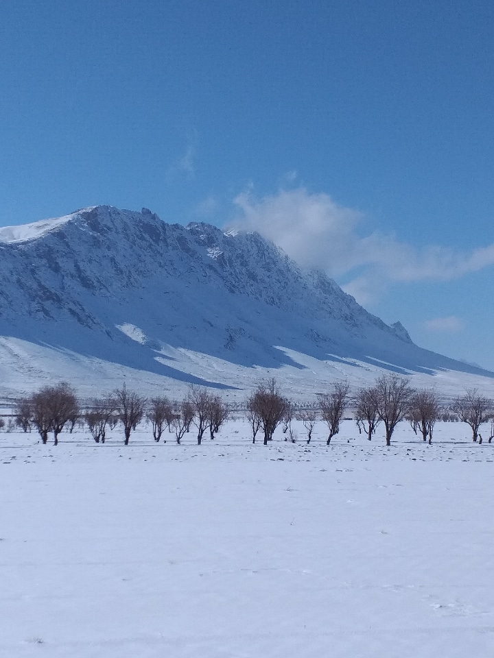 country:IRAN-City;BEN